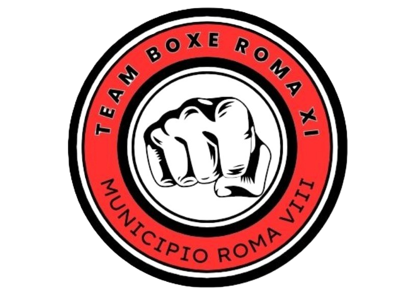 logo team boxe